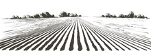 Vector Farm Field Landscape. Furrows Pattern In A Plowed Prepared For Crops Planting. Vintage Realistic Engraving Sketch Illustration.