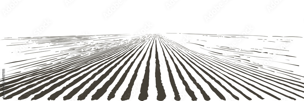 Vector farm field landscape. Furrows pattern in a plowed prepared for crops planting. Vintage realistic engraving sketch illustration. - obrazy, fototapety, plakaty 