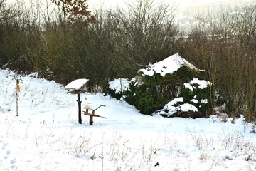 Wall Mural - A view of a camouflaged lens in the bushes and a bird feeder when taking pictures