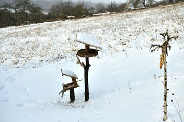 Wall Mural - Wooden bird feeder filled with sunflower and seeds in winter snow