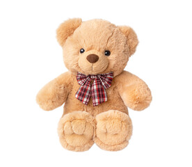 toy teddy bear isolated on white, without shadow.
