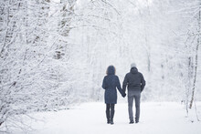 Young Adult Couple Holding Each Other Hands And Walking On Snowy Trail At Natural Tree Park In White Winter Day After Blizzard. Fresh Snow. Enjoying Peaceful Stroll. Dating Concept. Back View.