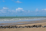 Fototapeta Morze - seagulls on the beach