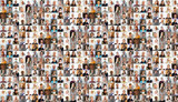 Hundreds of multiracial people crowd portraits headshots collection, collage mosaic. Many lot of multicultural different male and female smiling faces looking at camera. Diversity and society concept