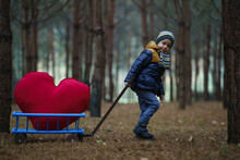 The Child, Without Making Any Difficulties, Goes Through The Dark Forest A Pull Large Plush Heart In A Stroller To Deliver It To A Loved One.