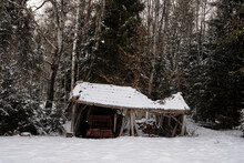 A Dilapidated Hut In The Forest