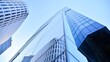 © Grand Warszawski - Glass facade of the buildings with a blue sky. Skyscrapers in the business city center.. Background of modern glass buildings.