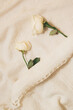 White roses tucked in a canvas, on soft white background. Love and care concept. Top view. 