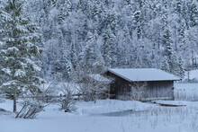 Log Cabin On Snow Covered Land Surrounded By Trees