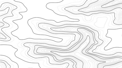 Poster - Topographic map background. Grid map. Contour map vector. Business concept. Abstract vector illustration