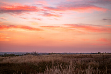 Wall Mural - vanilla sky at sunset with clouds and a rustic field of dry autumn grass. horizontal shot of a paste