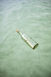 © Bryan Mullennix/Tetra Images - Message in bottle