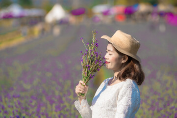 Wall Mural - Beautiful Asian woman wearing white dress in a lavender field blooming in the garden.