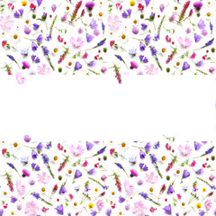 Wall Mural - Frame with place for text from plants, wild flowers isolated on white background, top view. The concept of summer, spring, Mother's Day, March 8. 