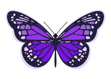 Dark Purple Butterfly. Vector Illustration On A White Background.