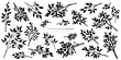 © AM_art - Branches sketch set. Hand drawn graphic plants. Vector illustration of different branches isolated on white background