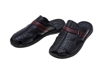 Wall Mural - leather men's slippers isolated