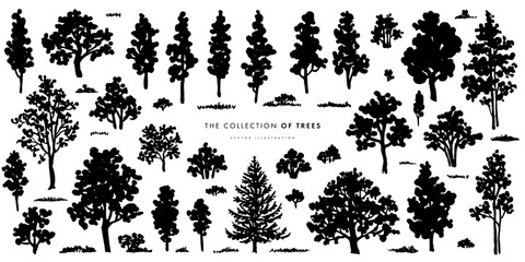 Trees sketch set. Hand drawn graphic forest. Vector illustration of different trees, shrubs and grass isolated on white background