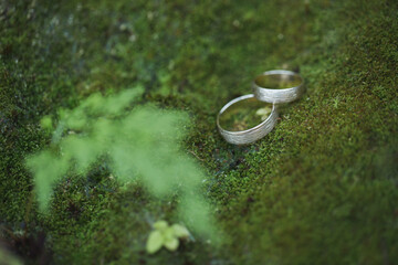 Golden wedding rings on green moss in forest