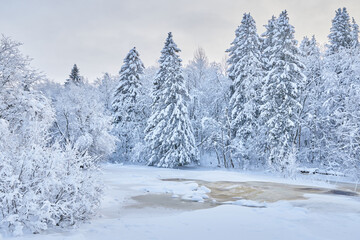 Wall Mural - frozen river. snowy beautiful winter