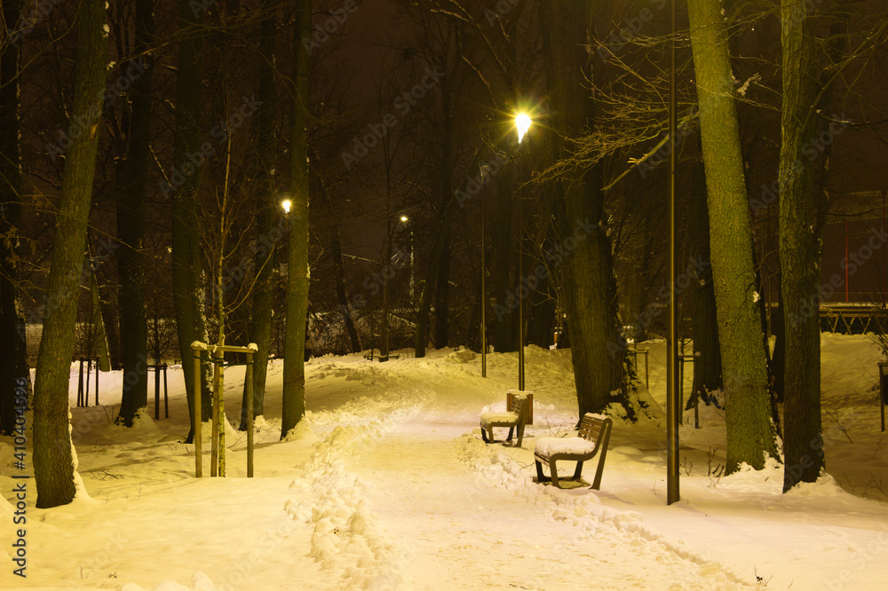 Poland, Lublin, Park Ludowy. Park road in winter at night.4 - obrazy, fototapety, plakaty 