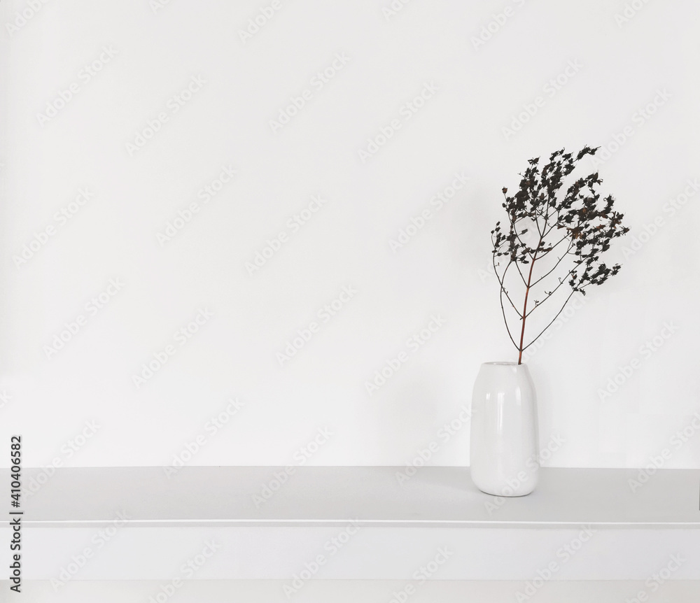 Sucha gałązka w białym wazonie stojąca na półce na tle białej ściany - obrazy, fototapety, plakaty 