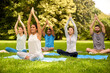 © Syda Productions - fitness, sport, yoga and healthy lifestyle concept - group of people meditating in lotus pose at summer park