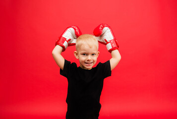 Wall Mural - portrait of a little boy boxing champion in red boxing gloves raised his hands up on a red background with space for text