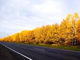 autumn path 