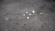 Puntos cardinales marcados en el suelo de asfalto con cuatro triángulos blancos
