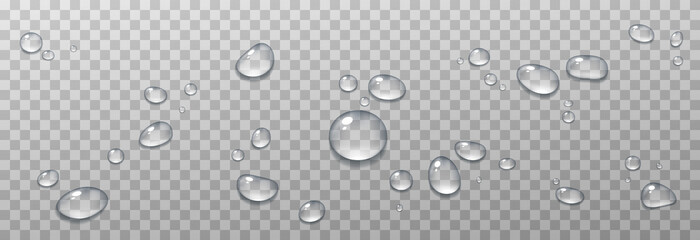 Wall Mural - Vector water drops. PNG drops, condensation on the window, on the surface. Realistic drops on an isolated transparent background.