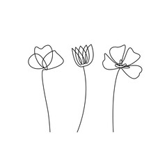 Wall Mural - Set Hand Drawn Line Art Flowers on White Background. Simple Flowers Continuous One Line Drawing. Decorative Floral Illustration. Vector EPS 10