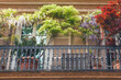 Details of beautiful Haussmannian building exterior in Paris. Balcony decorated with plants