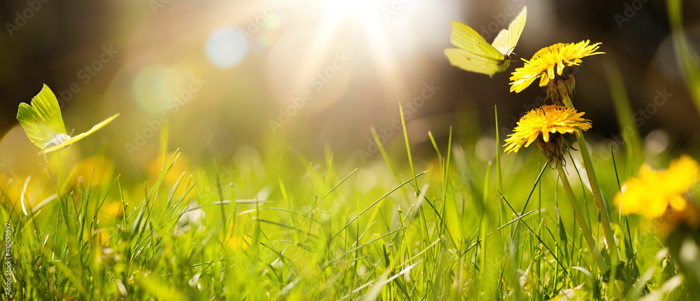 art abstract spring background or summer background with fresh grass - obrazy, fototapety, plakaty 