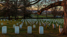American Cemetery 