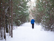 © junky_jess - Winter outdoor pursuit. Adult ordinary woman in blue warm sportwear does nordic walking on the snow in the parkland, selective focus.