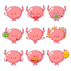 Cute happy funny human bladder organ character set collection. Vector flat line cartoon kawaii character illustration icon. Isolated on white background. Bladder with face character mascot concept