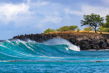 Wall Mural - Wave breaking on Kona coast of Hawaii's Big Island. Trees on rocky ledge behind. Cloudy sky in the background. 
