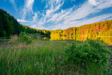 Wall Mural - autumn landscape, picturesque forest with a mirror symmetrical reflection in the river of yellow, go