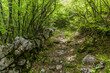 © Matyas Rehak - Hiking trail in Lovcen national park, Montenegro