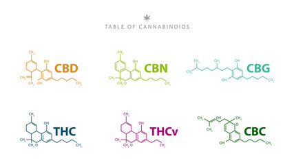 Table of cannabinoids. Chemical formulas of natural cannabinoids isolated on white background