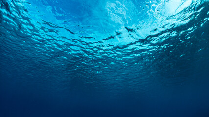 Wall Mural - Underwater of tropical; sun rays passing through water.