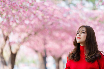 Wall Mural - cheerful woman traveler looking cherry blossoms or sakura flower blooming in park