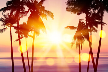 Wall Mural - tropical palm tree on sunset sky and clouds abstract background. summer vacation and nature travel a