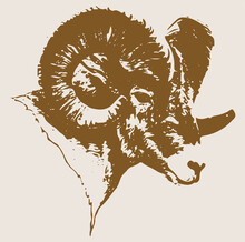 Sketch Of Indian Big Horn Sheep Or Goat Outline Editable Illustration