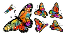 A Set Of Colorful Butterflies. Vector Illustration