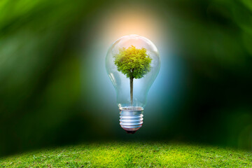 Renewable energy concept Earth Day or environment protection Hands protect forests that grow on the ground and help save the world.