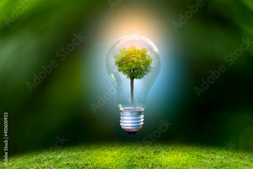 Renewable energy concept Earth Day or environment protection Hands protect forests that grow on the ground and help save the world.