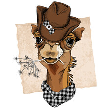 Camel Portrait In A Cowboy Hat And With Branch. Vector Illustration.