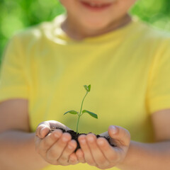 Canvas Print - Child holding young green plant in hands